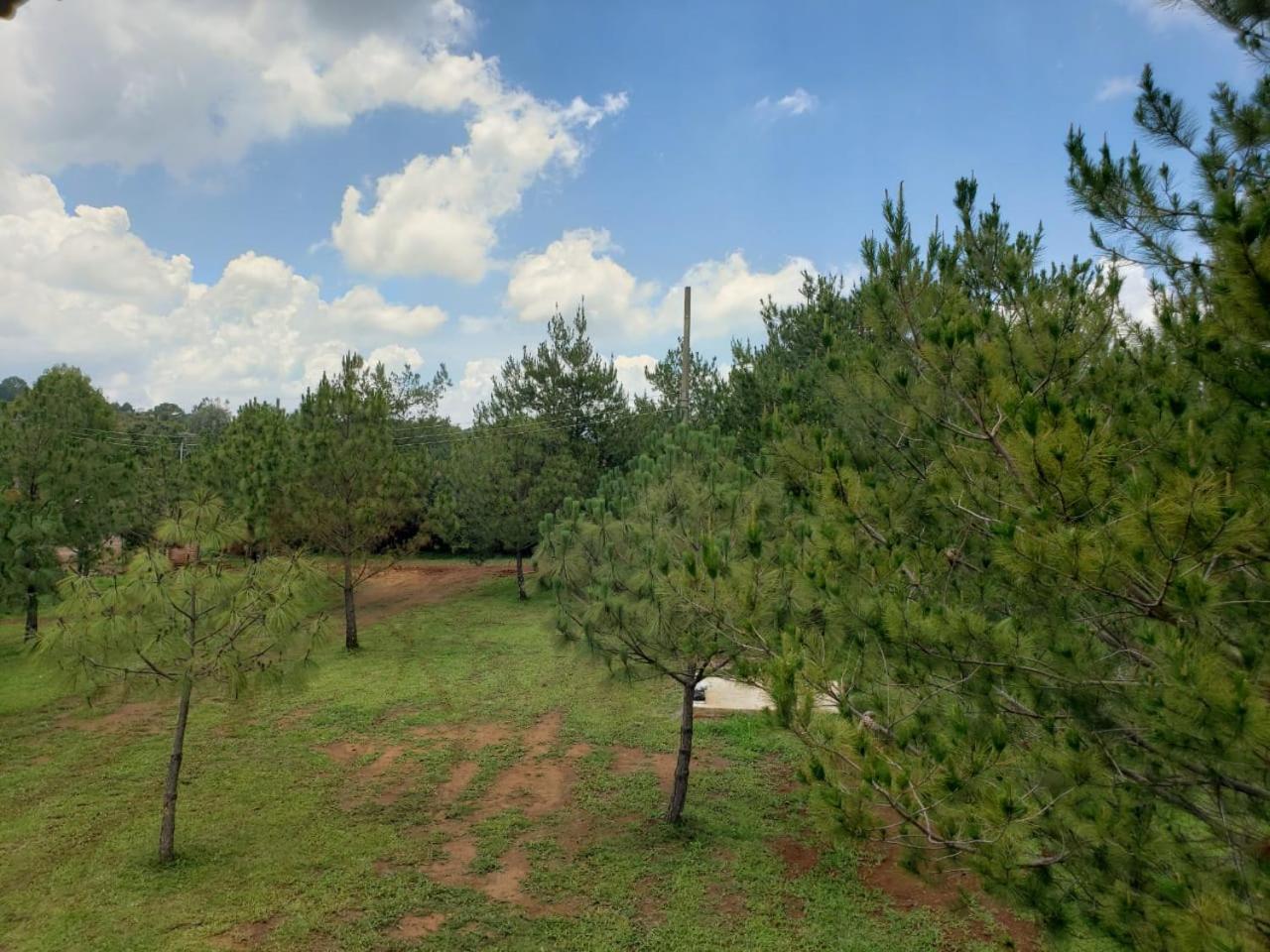 Cabanas Paseo Del Llano Мазамитла Экстерьер фото